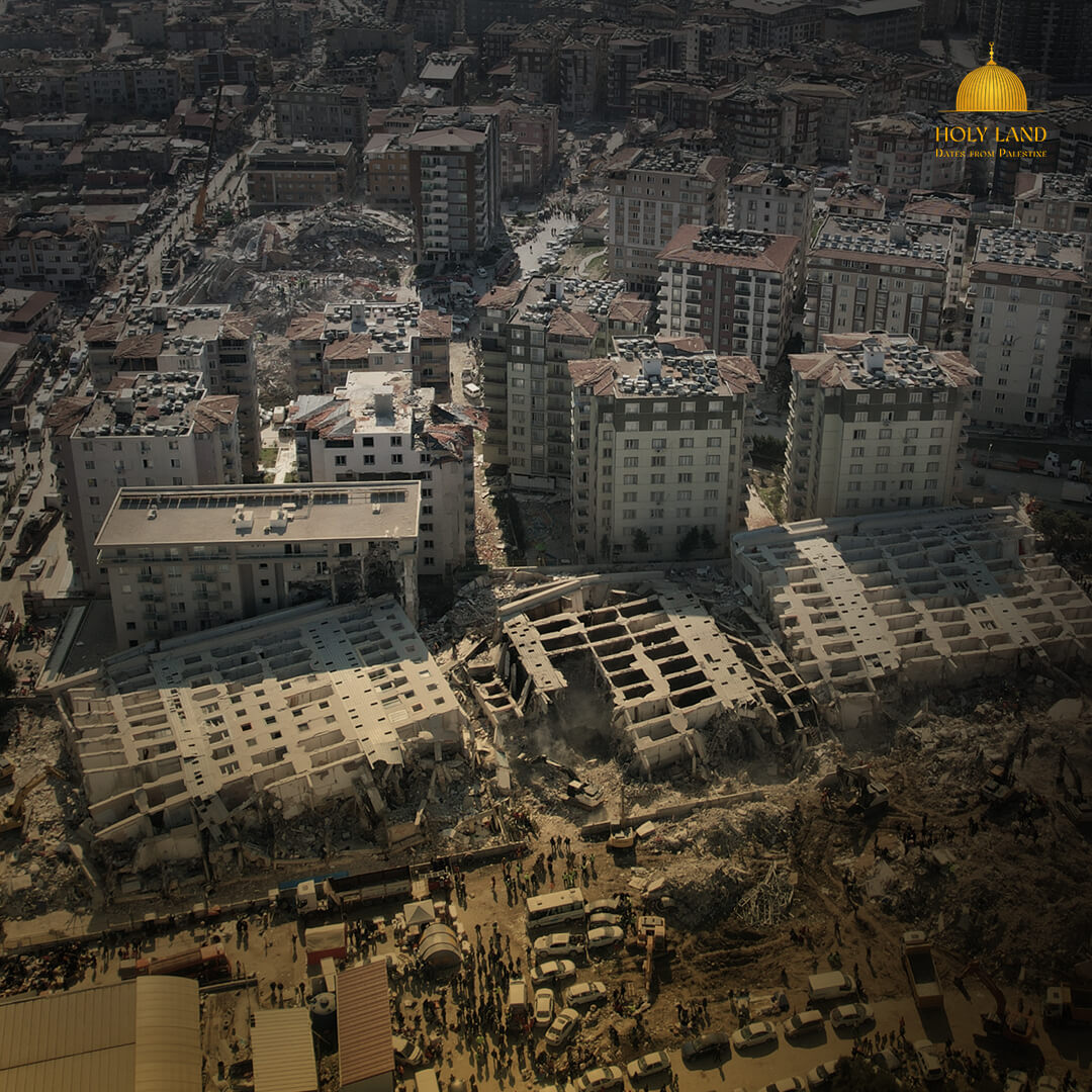 Supporting The Vulnerable