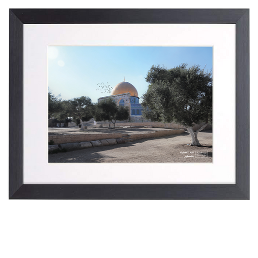 Holy Land Dates Wall Art Collection includes A4 Digital Prints Framed of Al Aqsa Mosque & Dome of the Rock. The perfect addition for your home! Or gift it to a loved one for Ramadan/Eid.
