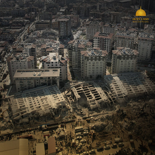 Supporting The Vulnerable